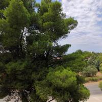 Таунхаус в Греции, 125 кв.м.