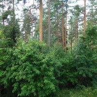 Квартира в Финляндии, 74 кв.м.