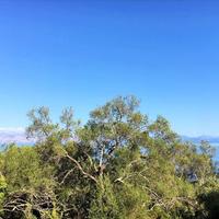 Земельный участок в Греции, Ионические острова