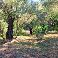 Земельный участок в Греции, Ионические острова