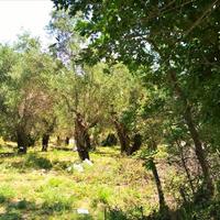 Земельный участок в Греции, Ионические острова