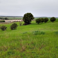 Земельный участок в Греции, Центральная Македония, Центр