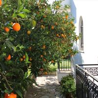 Other in Greece, 160 sq.m.