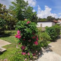 Другое в Греции, Центральная Македония, Центр, 73 кв.м.