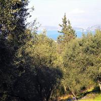 Земельный участок в Греции, Ионические острова, 4900 кв.м.