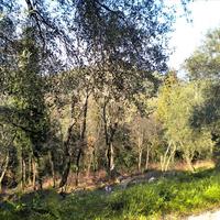 Земельный участок в Греции, Ионические острова, 4900 кв.м.