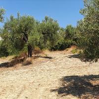 Land plot in Greece