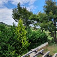 Other in Greece, Central Macedonia, Center, 128 sq.m.