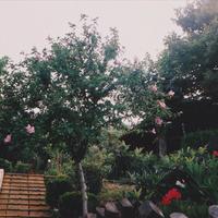 Другое в Греции, 120 кв.м.