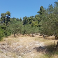 Land plot in Greece