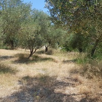 Land plot in Greece