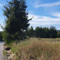 Land plot in Greece