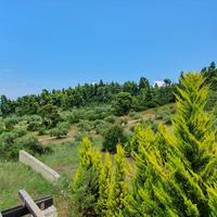 Другое в Греции, 128 кв.м.