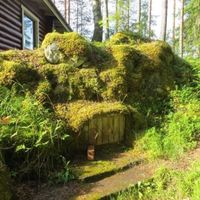 Дом в Финляндии, Исалми, 60 кв.м.