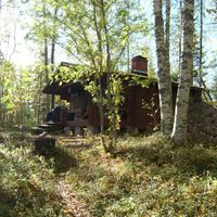 Дом в Финляндии, Вийтасаари, 35 кв.м.