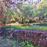 Земельный участок в Греции