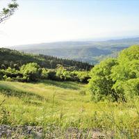 Land plot in Greece