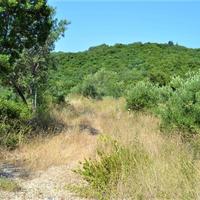 Land plot in Greece
