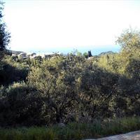 Land plot in Greece, 4900 sq.m.