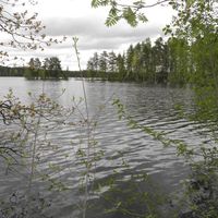 House in Finland, 20 sq.m.