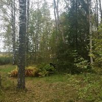 Дом в Финляндии, 18 кв.м.