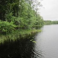 Дом в Финляндии, Миккели, 41 кв.м.