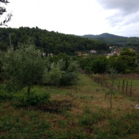 Land plot in Greece, 920 sq.m.