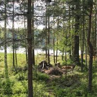 Дом в Финляндии, 40 кв.м.