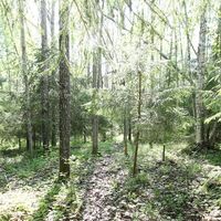 House in Finland, Iisalmi, 28 sq.m.