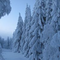 Таунхаус в Финляндии, 77 кв.м.