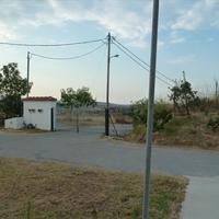 Other in Greece, Dode, 214 sq.m.