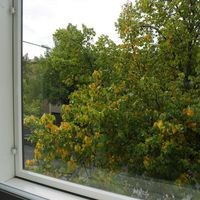 Квартира в Финляндии, 36 кв.м.