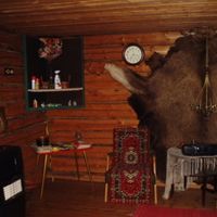 House in Finland, Lieksa, 50 sq.m.