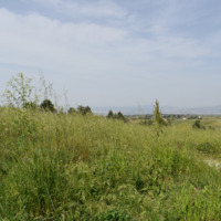 Другое в Греции, Центральная Македония, Центр, 280 кв.м.