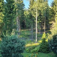 Квартира в Финляндии, 57 кв.м.