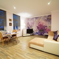 Flat Czechia, 45 sq.m.