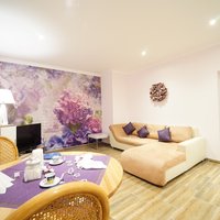 Flat Czechia, 45 sq.m.