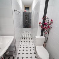 Flat Czechia, 45 sq.m.