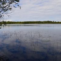 Дом в Финляндии, Кайнуу, 35 кв.м.