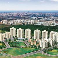 Другое в Израиле