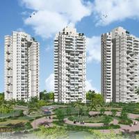 Другое в Израиле, 105 кв.м.