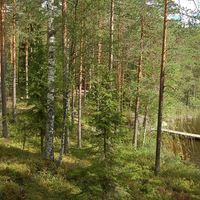 Дом в Финляндии, 67 кв.м.