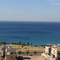 Penthouse in Israel, 320 sq.m.