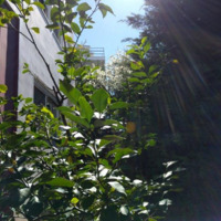 Townhouse in Greece, 338 sq.m.