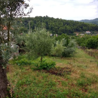 Land plot in Greece, 920 sq.m.