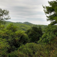 Land plot in Greece, 920 sq.m.