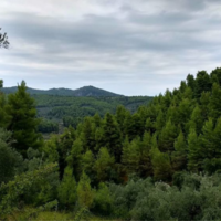 Land plot in Greece, 920 sq.m.