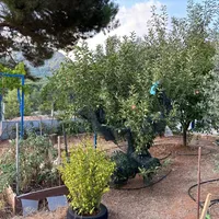 Вилла в Турции, Villa, 150 кв.м.