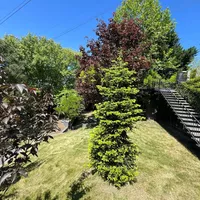 Villa in Turkey, Istanbul, 650 sq.m.