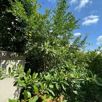 Villa in Turkey, Istanbul, 176 sq.m.